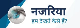 नजरिया: हम देखते कैसे हैं?
